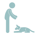 Dog Training